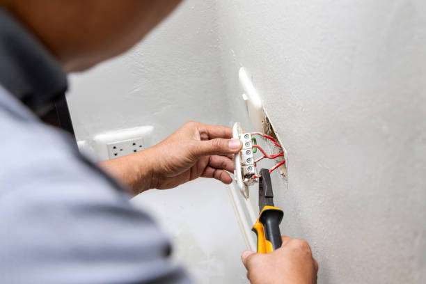 Best Electric Panel Repair  in Tanglewilde, WA