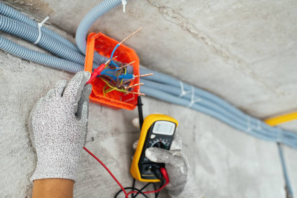 Best Ceiling Fan Installation Electrician  in Tanglewilde, WA